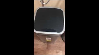 Сенсорное ведро для мусора WeltWasser. Обзор