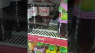 Цены в Турции смотри видео #ценынапродукты #цены #цена #турция #магазин #carrefour