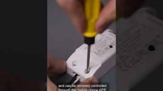 WiFi RF DIY Smart Light Switch Module Universal Breaker Timer Support Voice Control by Alexa