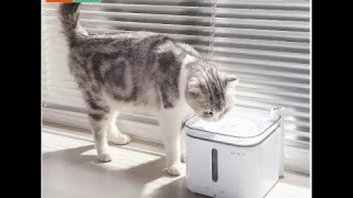Дозатор воды для животных Xiaomi PETKIT Smart Water Dispenser 2,. Xiaomi PETKIT EVERSWEET 2