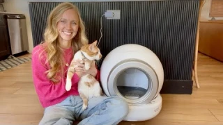 How Good is This Automatic Litter Box? Full Breakdown!