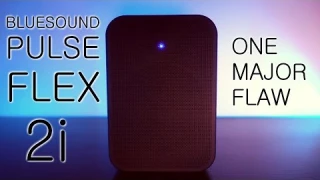 Bluesound Pulse Flex 2i Wireless Speaker Review