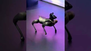Xiaomi CyberDog 2 робот собака