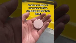 Fastest Way to Track Your Pets Now! 🐶🐶🐶best gps tracker