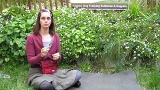 Housebreaking Bell for Dogs Pet Expertise Demonstration