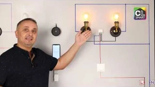 Обзор возможностей умного 2 х канального Смарт Реле CITILUX CLR02   с ним любая