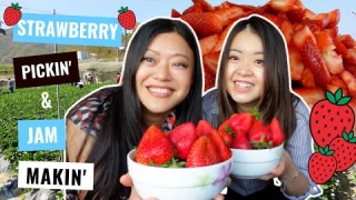 STRAWBERRY PICKING in HONG KONG | How to get to Long Ping Strawberry Farm in Yuen Long | Jam Making