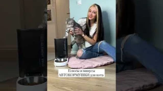 Плюсы и минусы автокормушки