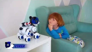 Игрушка интерактивная 1toy "ДРУЖОК" радиоуправляемый щенок-робот