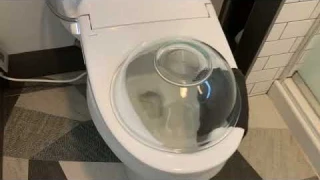 Bidet Perfection? Alpha Bidet’s Newest Toilet Seat First Look