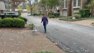 Unitree Go2 Robot Dog