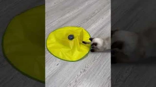 Игрушка для кошек Cats Toy. Интерактивная Мышка под ковриком