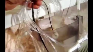 Доступный автополив с двойной защитой от перелива своими руками