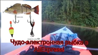 Электронная чудо-рыбка с AliExpress! Видео отзыв!