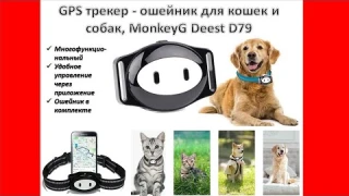 GPS трекер - ошейник для кошек и собак, MonkeyG Deest D79