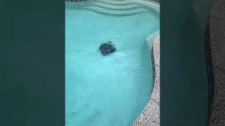 Amazon com  Customer reviews  2025 Upgrade WYBOT OS7010C   C1 Pool Robot Vacuum, 4 in 1 Cordless Poo