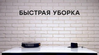 Со ступенек не упадет! Обзор робота-пылесоса Liectroux C30B