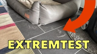 JONR P20 Pro - Der GÜNSTIGSTE All-In-One Saugroboter, den ich je getestet habe