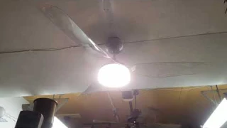 CARRO ICEBREAKER 60" 3-Blade Smart Ceiling Fan With LED Light Kit OFFICIAL TEST/DEMONSTRATION VIDEO