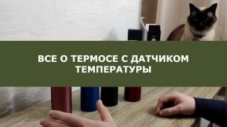 Все о термосе с датчиком температуры