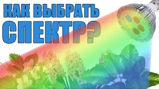 КАК ВЫБРАТЬ СПЕКТР ФИТОЛАМПЫ? ВСЕ О СПЕКТРАХ ФИТОЛАМП!