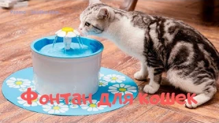 Фонтан для кошек | Promo-Skidka.com