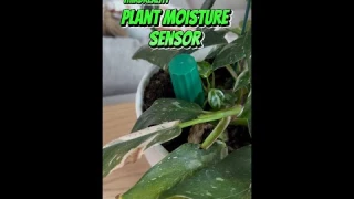 Smart Plant Moisture Sensor 🌿💧#technology #smarthome #plants