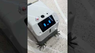 ЦАРЬ робот-пылесос. Такого ты еще не видел!