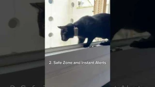 3 Reasons why you should get a Tractive GPS tracker for your cat #catsafety #catgps #catowners