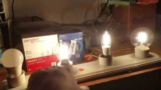 Sengled Bluetooth Mesh & Cree Connected Max LED Glass Filament Smart LED Bulbs Review/Comparison