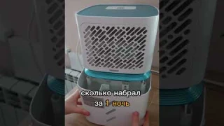За ночь избавил нас от влажности в доме #shorts #осушительвоздуха #ballu