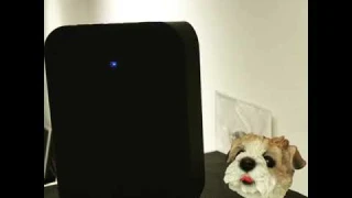 Bluesound pulse flex 2i