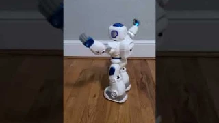 Ruko 1088 Smart Robots for Kids, Large Programmable Interactive RC Robot with Voice Control, APP Con