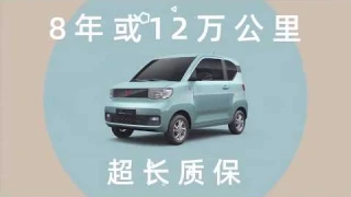 2020 WULING HONGGUANG MINI EV (Electric Car) GSEV: Battery Safety Test - China