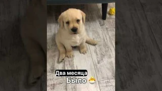 Повзрослел малыш☺️