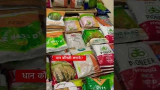 कौन सा धान आपके खेत के लिए सही.?