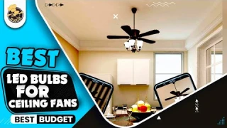 Best LED Bulbs For Ceiling Fans|Top 5 Smart LED Bulbs Review
