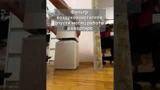 Фильтр Xiaomi Air Purifier 4 Lite спустя месяц работы #xiaomi #airpurifier