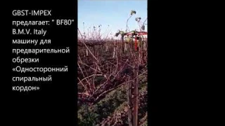 BF80   ( B.M.V. Italy) машина для предварительной обрезки виноградников