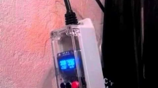 термостат для аквариума собран))