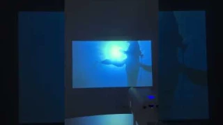 LUXVYN V1: Affordable Projection Demo