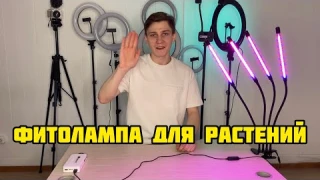 Фитолампа для растений | Обзор