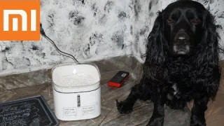 Обзор Xiaomi Kitten & Puppy автоматическая поилка дозатор для домашних животных