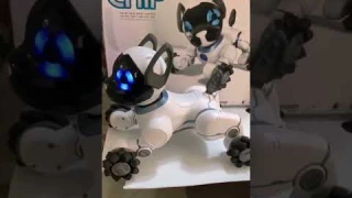 Робот собака CHiP ЛУЧШИЙ подарок ребёнку на 🎄Новый Год🎄