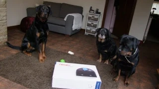 Neato Botvac D85 Honest Review (robot vacuum cleaner)