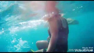 NexPro Dream 002 : Menari bersama Penyu