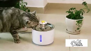 LED-Light Up Automatic Cat Water Fountain