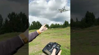 Самолет Volantex RC P40 Warhawk