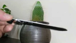 Датчик влажности почвы Plant Watering Alarm v2.4