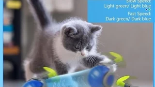 Speedy Tail 2.0,Speedy Tail Cat Toy with Long Tail